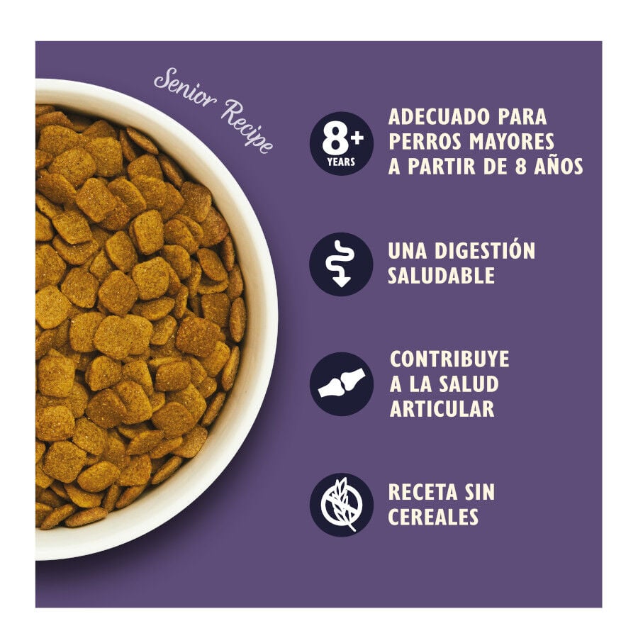7 kg Lily's Kitchen Adult +8 Pavo y Trucha pienso para perros, , large indicador imagen numero 3