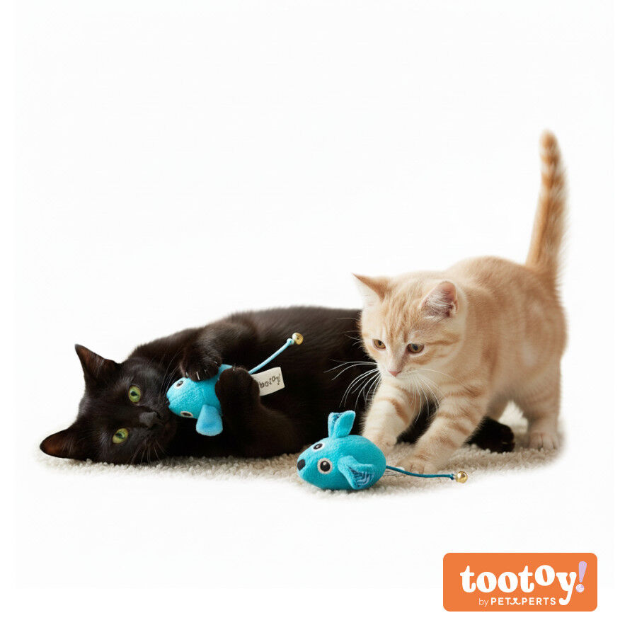 Tootoy! Pack de 2 Ratones con Catnip y Cascabel Azules para gatos, , large Imagen numero 8