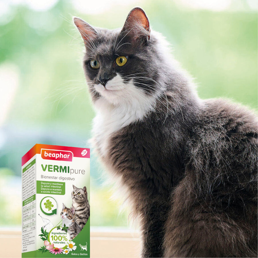 Beaphar Vermipure Repelente Interno Natural en comprimidos para gatos y gatitos, , large indicador imagen numero 7
