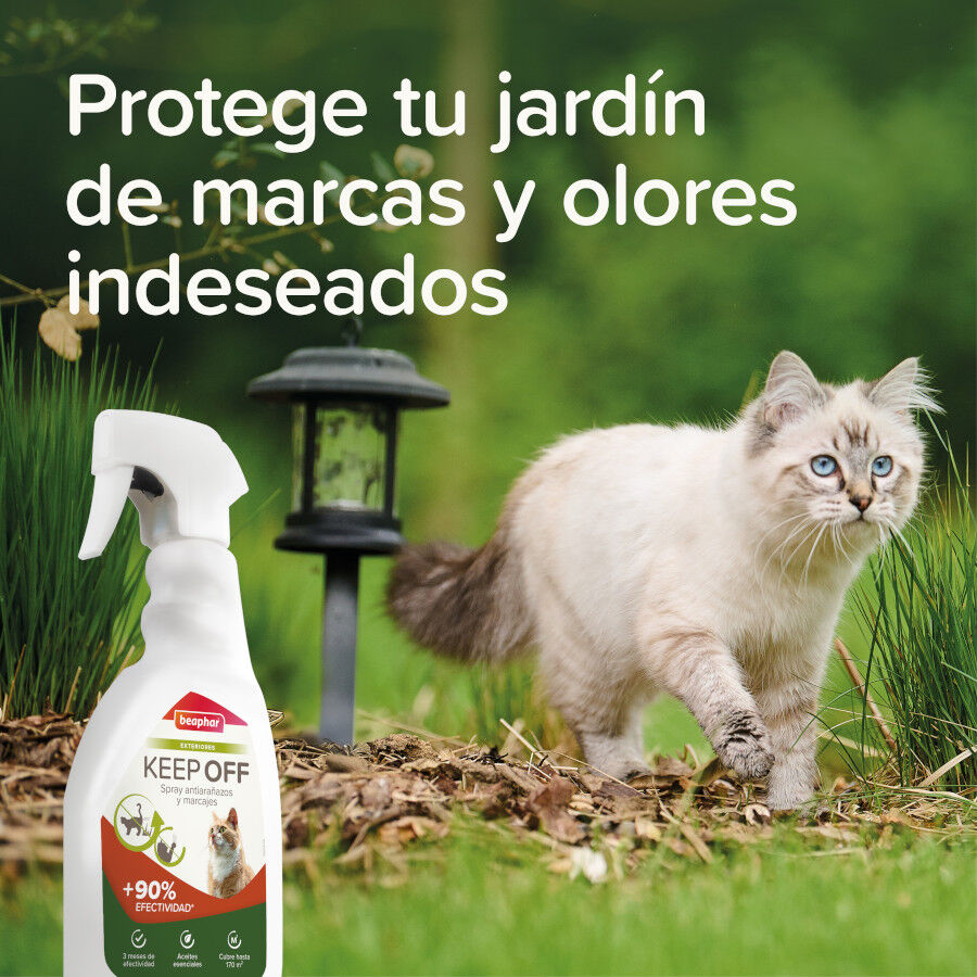 Beaphar Spray Educador Exteriores para Gatos, , large Imagen numero 5