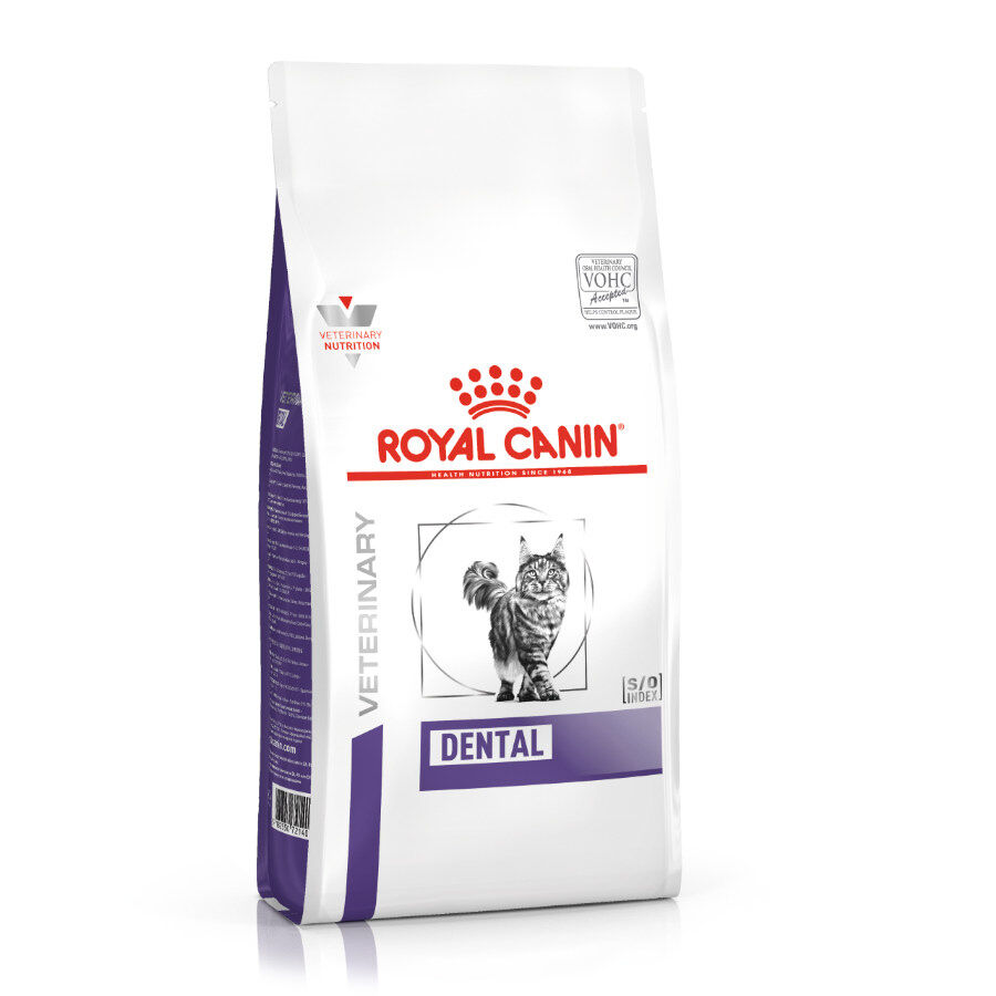 Royal Canin Dental Feline comida para gatos Imagen numero 1