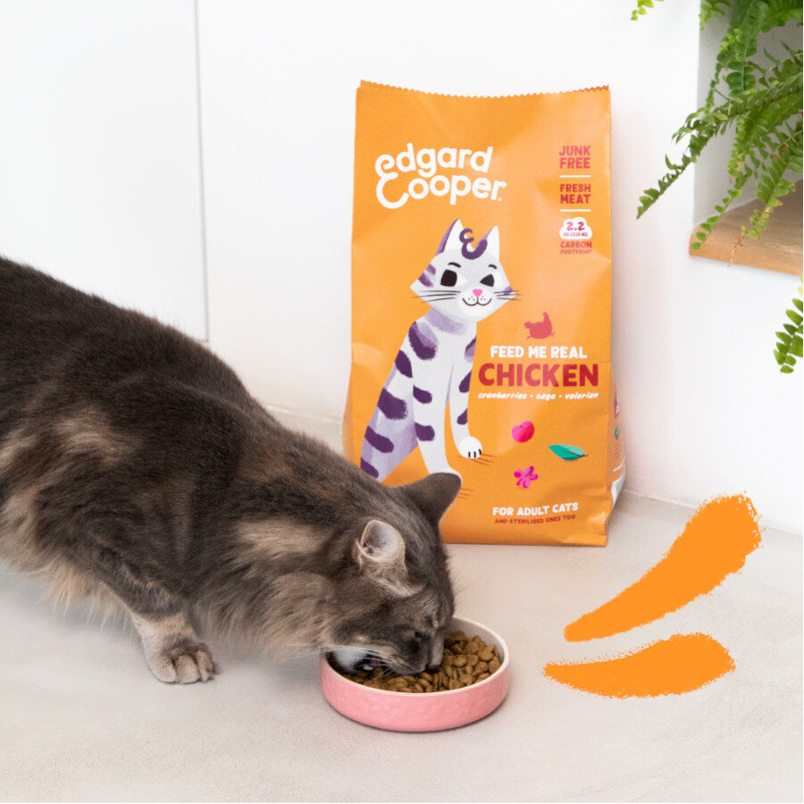4 kg Edgard & Cooper Adult Pollo pienso para gatos, , large Imagen numero 2