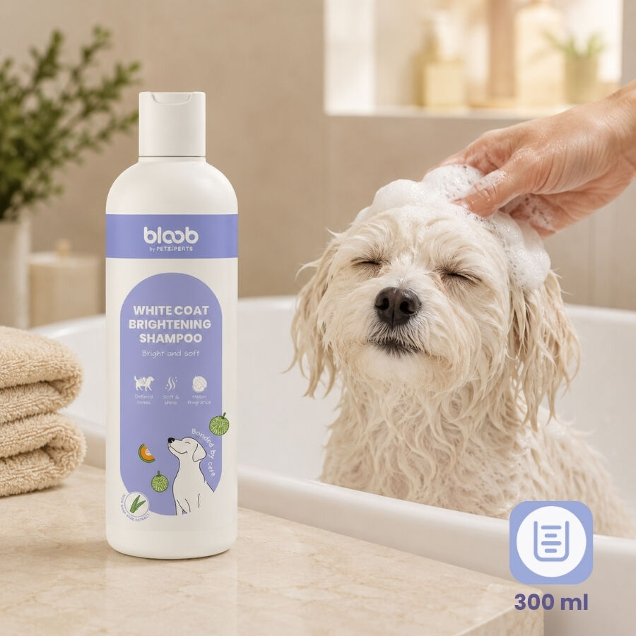 Bloob Champ&uacute; Realzador Mantos Blanco Mel&oacute;n para perros, , large Imagen numero 7