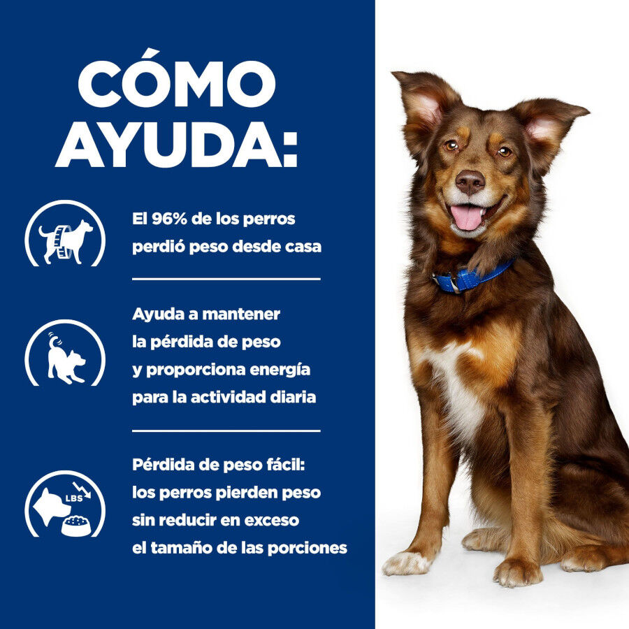 370 g Hill's Prescription Diet Metabolic Vacuno y Verduras lata para perros, , large indicador imagen numero 4
