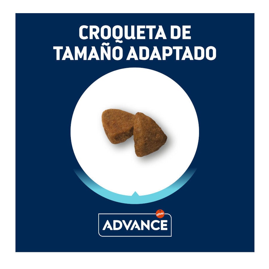 8 kg (7 + 1 kg &iexcl;gratis!) Advance Active Defense Mini Adult Pollo y Arroz pienso para perros, , large Imagen numero 2