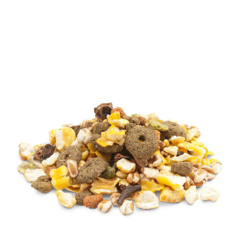 550 g Versele-Laga Crispy Snacks Palomitas para roedores, , large Imagen numero 3