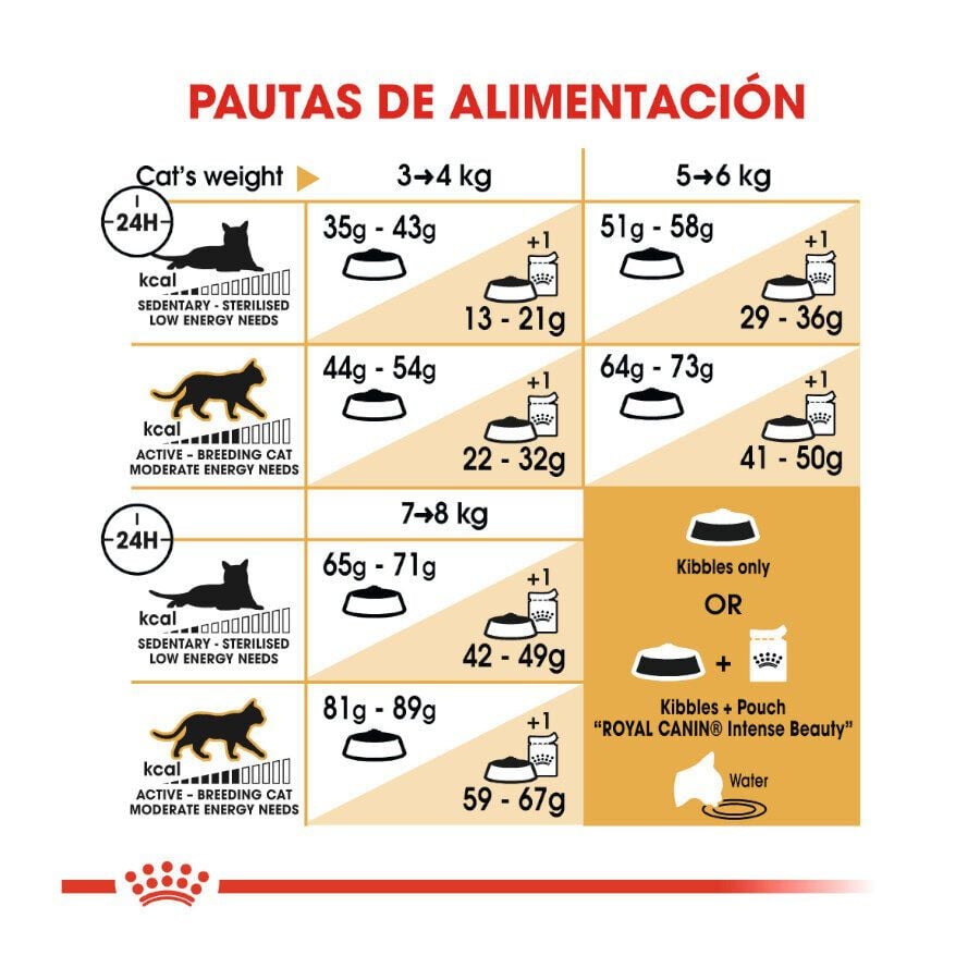 10 kg Royal Canin Adult Norwegian Forest pienso para gatos, , large indicador imagen numero 8
