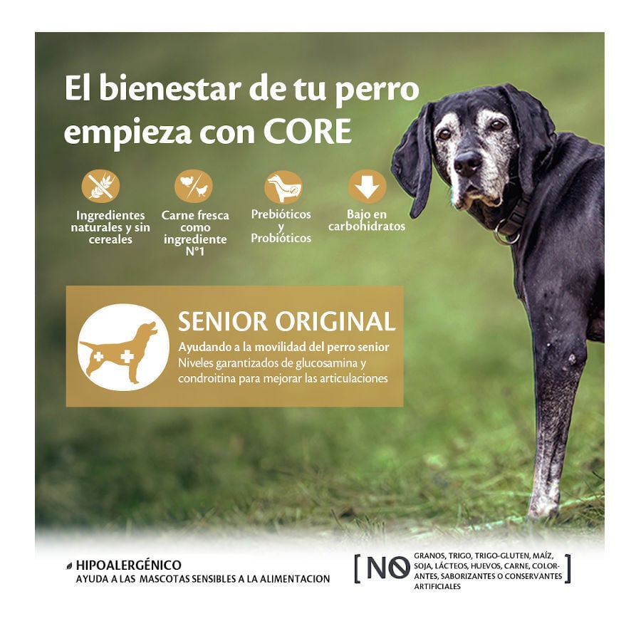 10 kg Wellness Core Senior Pollo y Pavo pienso para perros, , large Imagen numero 2