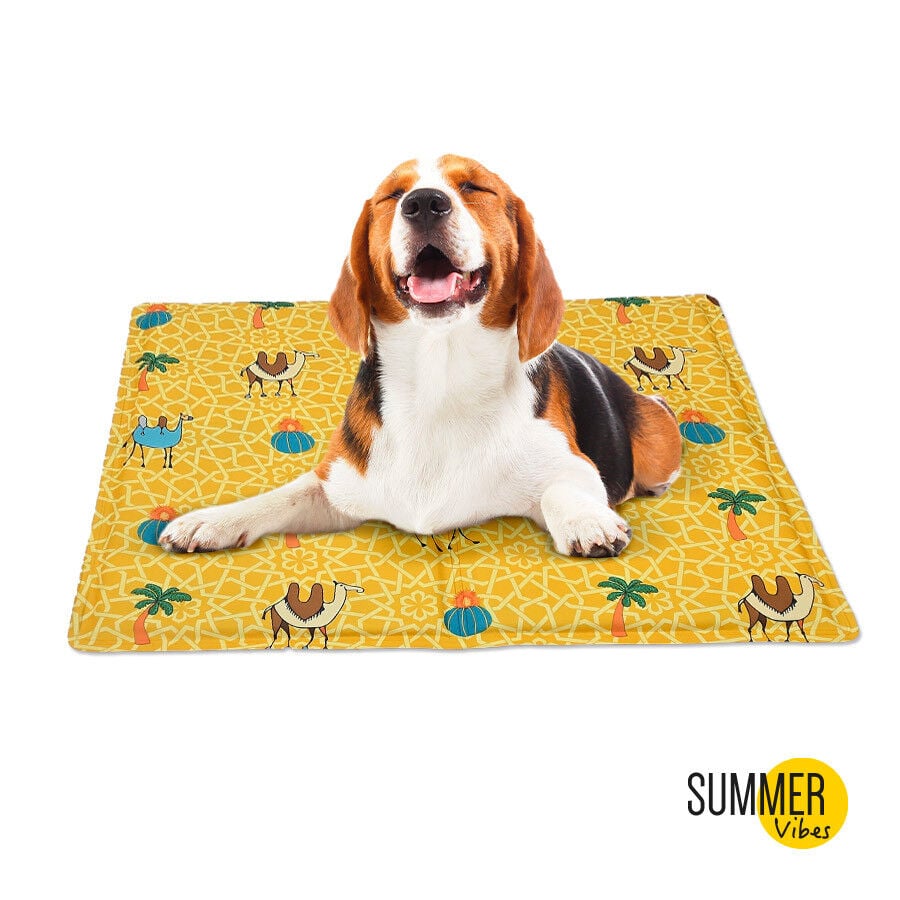 Summer Vibes Manta refrescante con estampado para perros, , large indicador imagen numero 2