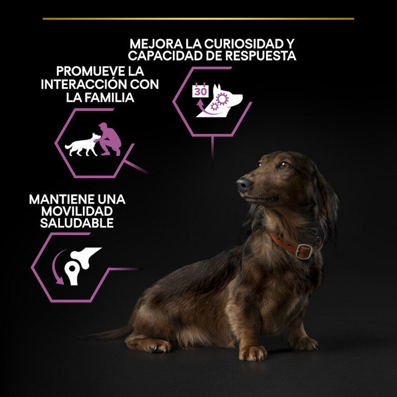 3 kg Pro Plan Adult Small y Mini Pollo pienso para perros S&eacute;nior +9, , large indicador imagen numero 4