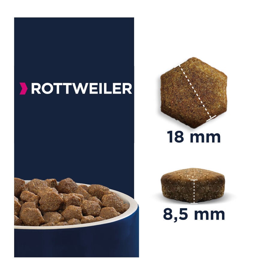 12 kg Eukanuba Adult Rottweiler pienso para perros, , large indicador imagen numero 2