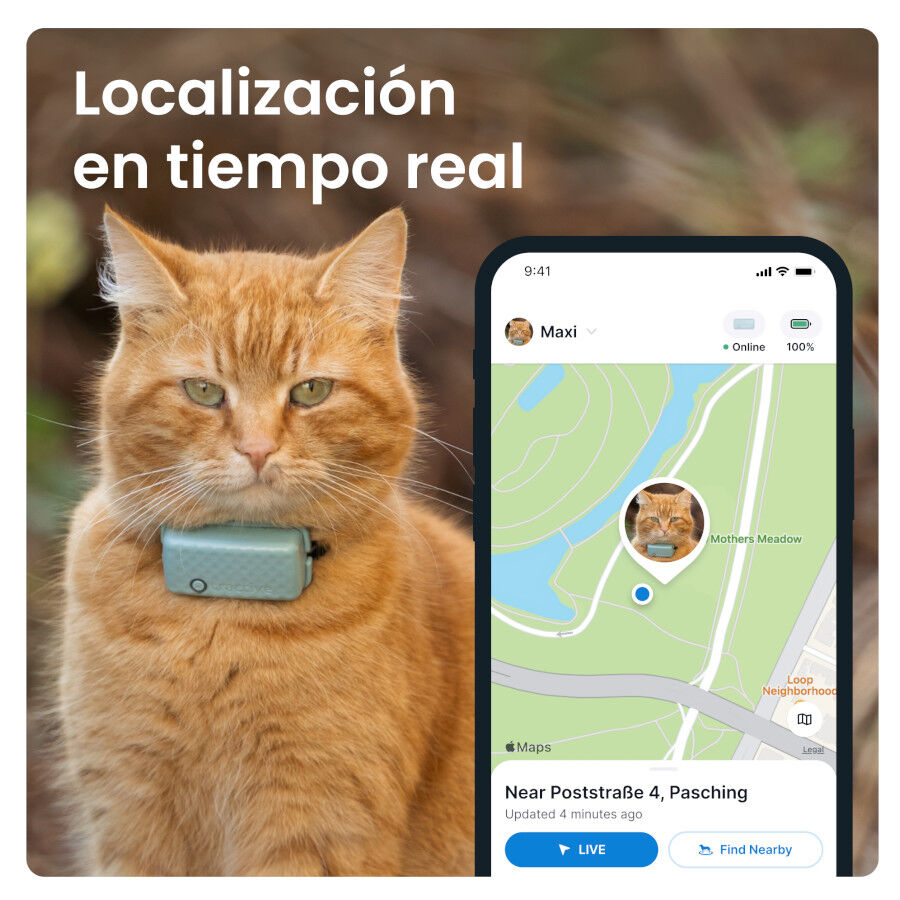 Tractive Cat Mini Localizador GPS Menta para gatos, , large Imagen numero 6