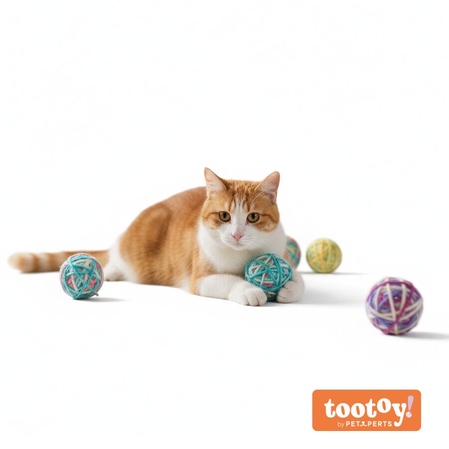 Tootoy! Pack de Ovillos de Lana Coloridos para gatitos, , large indicador imagen numero 9