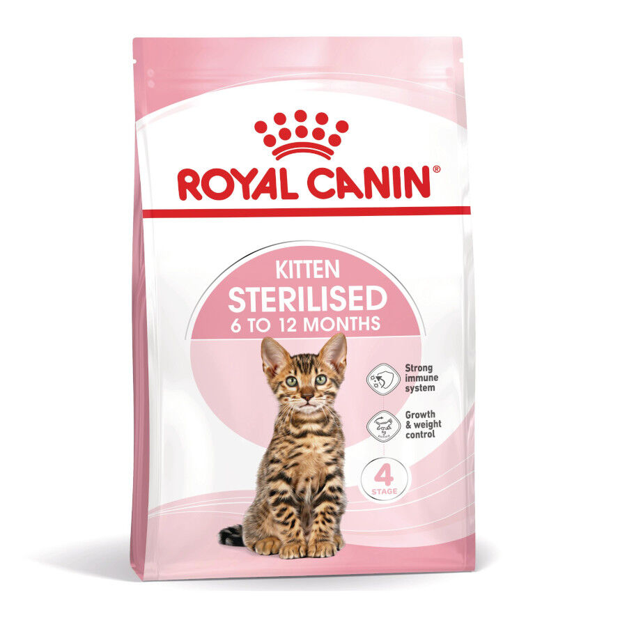 Royal Canin Kitten Sterilised pienso para gatos