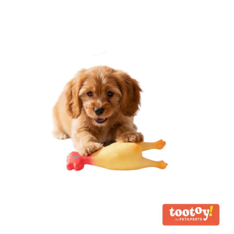 Tootoy! Juguete Pollo Mordedor con Sonido para perros, , large Imagen numero 9