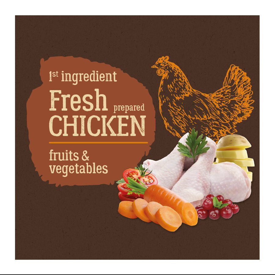 12 kg True Origins Pure Adult Pollo No Grain pienso para perros, , large Imagen numero 3