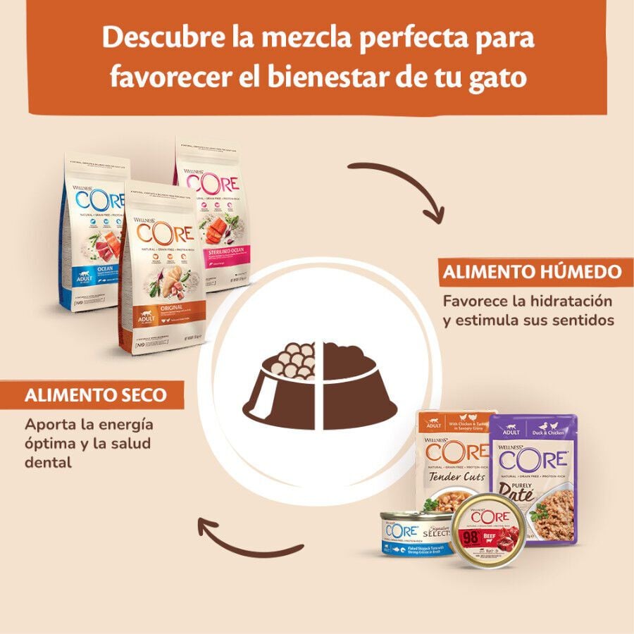 79 g Wellness Core Flaked at&uacute;n lata para gatos, , large indicador imagen numero 5