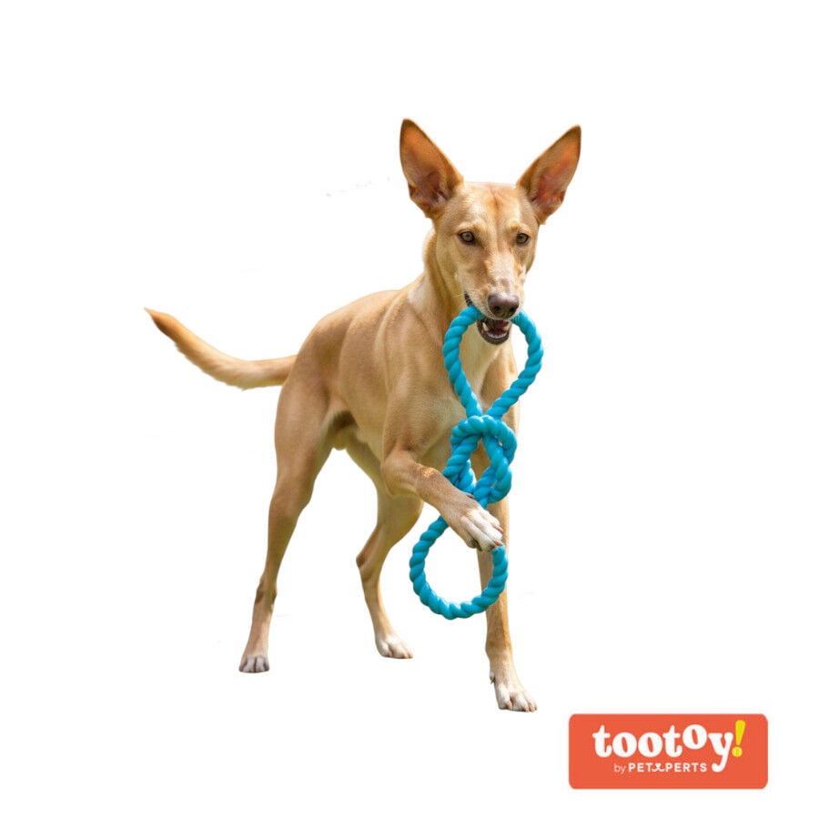 Tootoy! Mordedor Rubber Seaknot de Goma Azul para perros