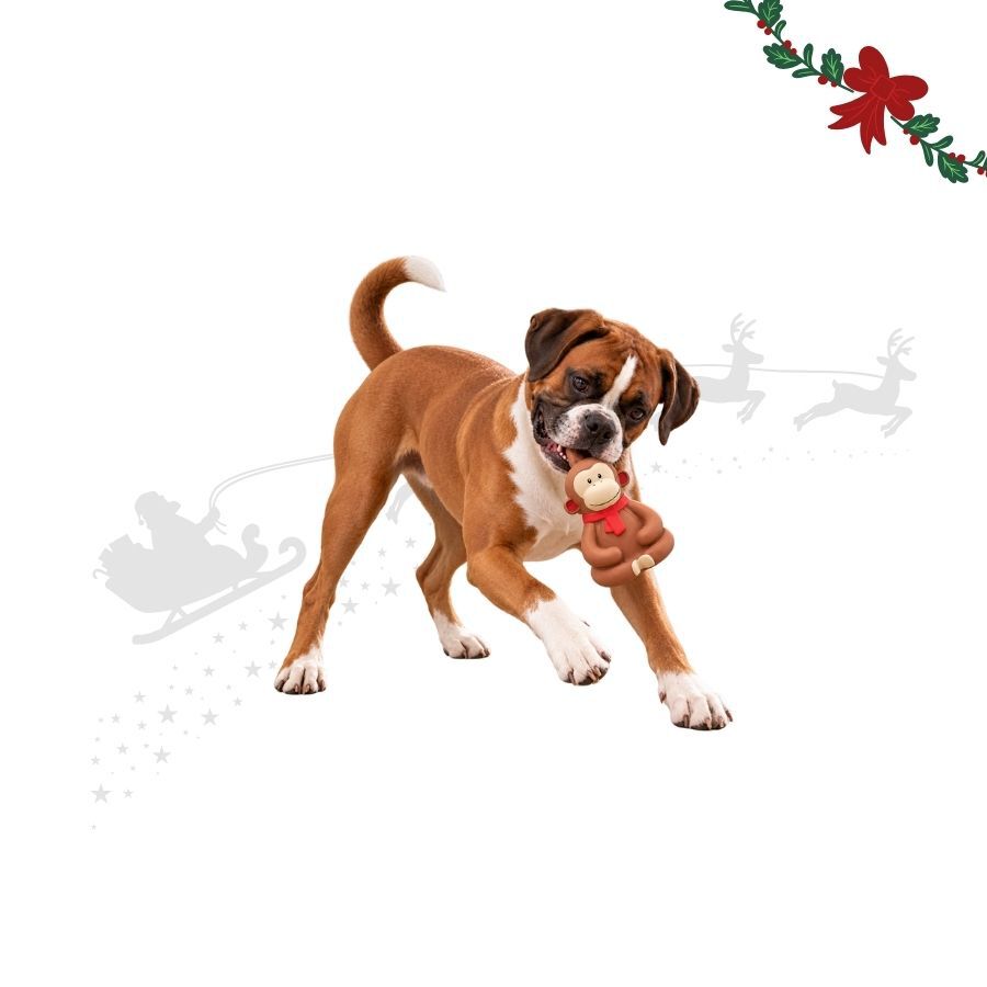Wonder Christmas Mono L&aacute;tex Juguete para perros, , large indicador imagen numero 1