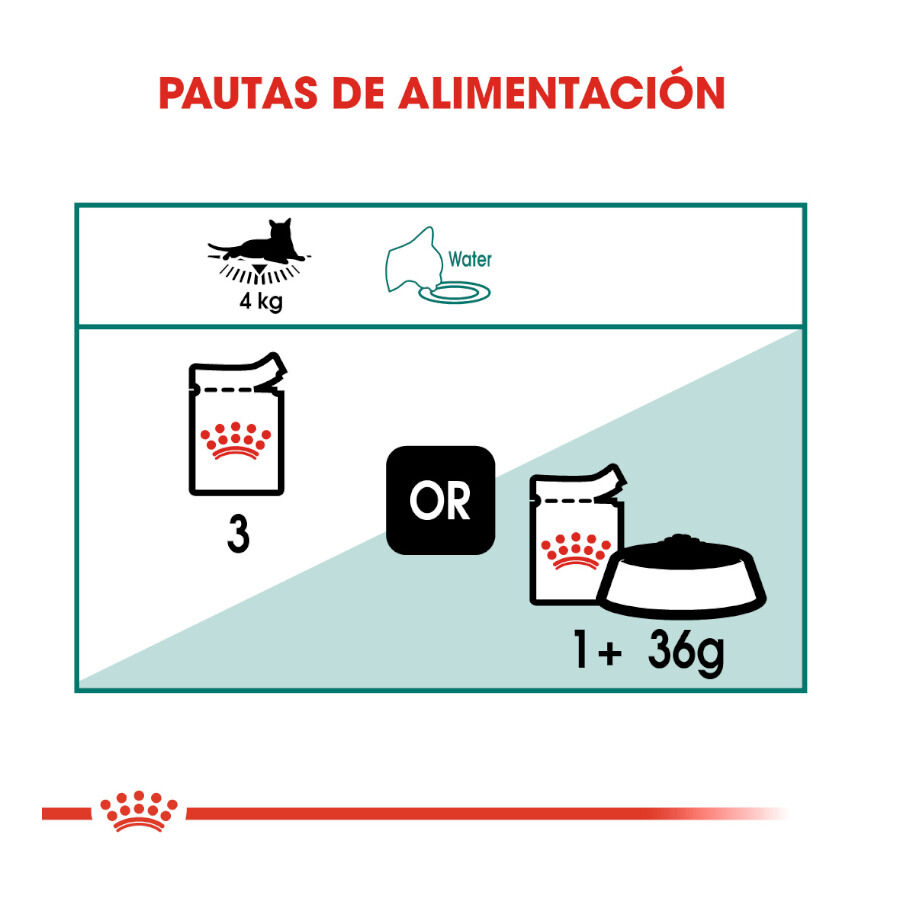 85 g Royal Canin Senior 7+ Instinctive sobres para gatos, , large Imagen numero 8