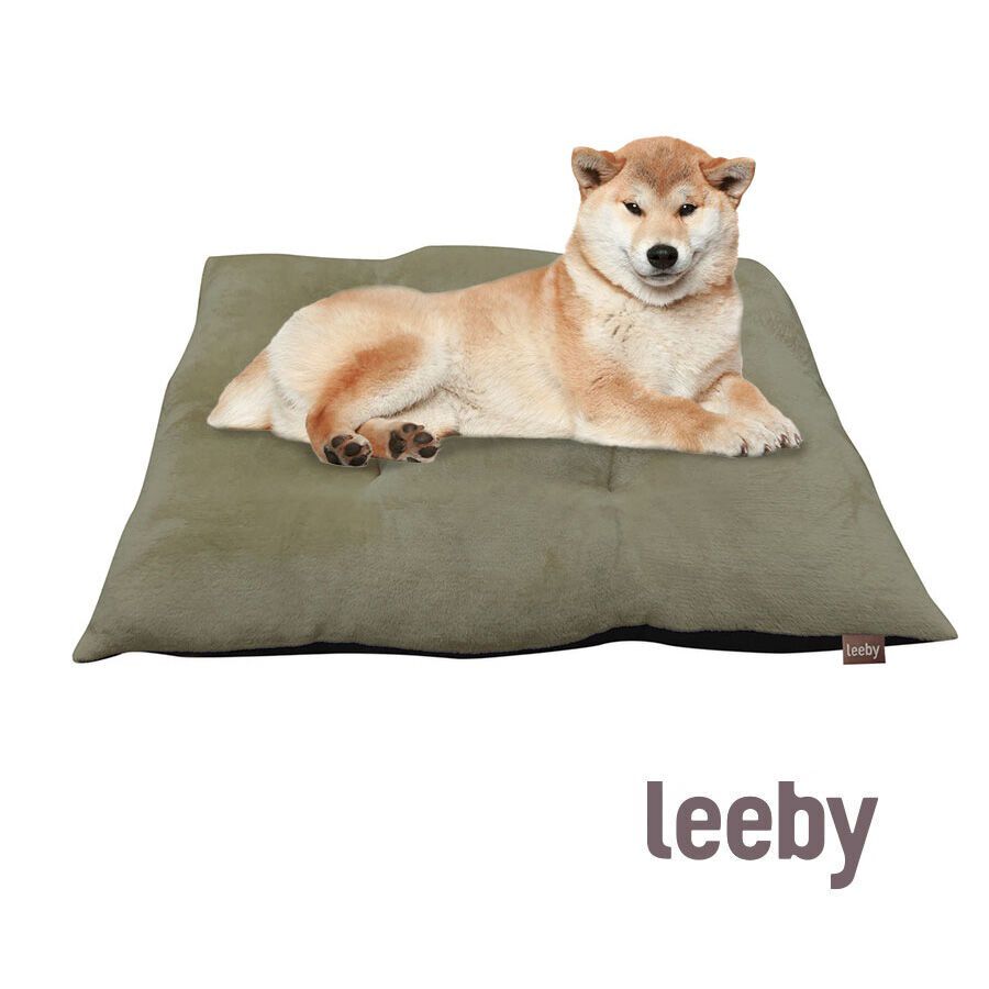 Leeby Coj&iacute;n Acolchado de Terciopelo Verde para perros