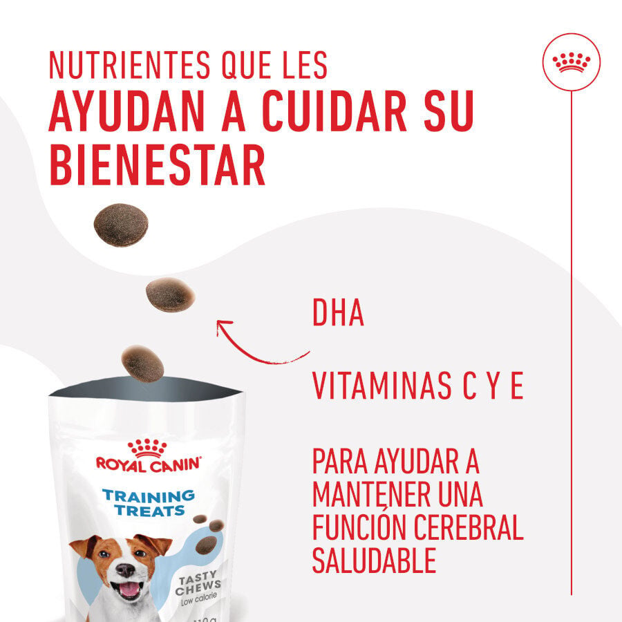 110 g Royal Canin Training Treats Snacks para perros, , large indicador imagen numero 5