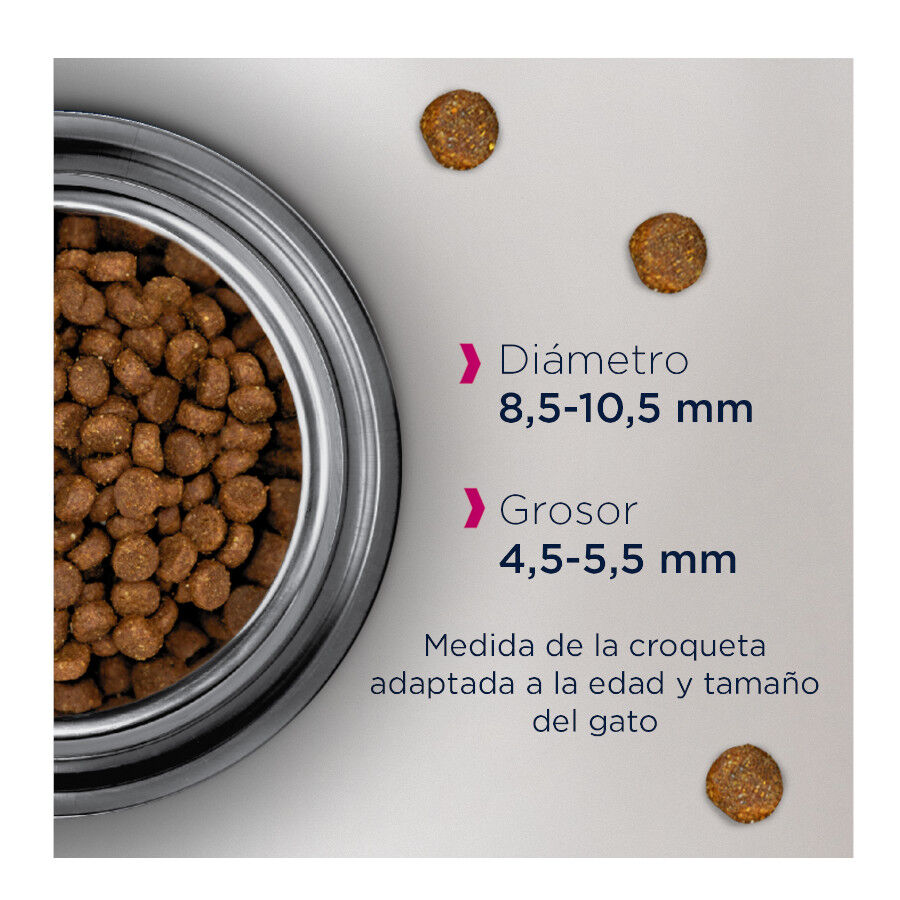 10 kg Eukanuba Senior Pollo pienso para gatos, , large indicador imagen numero 2