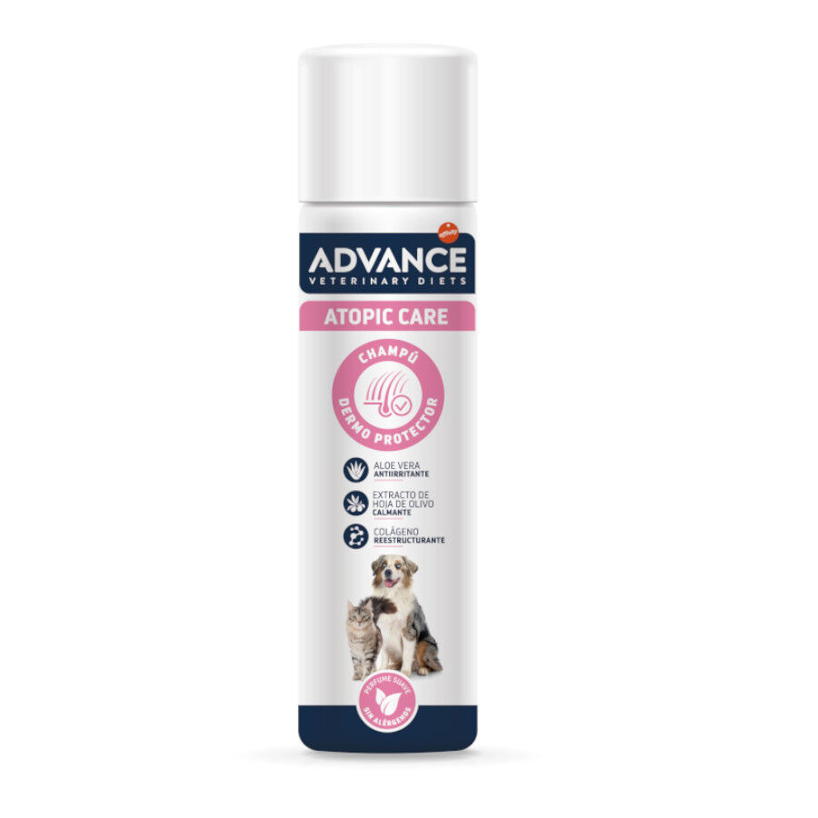 Advance Atopic Care Champ&uacute; para perros y gatos, , large Imagen numero 1