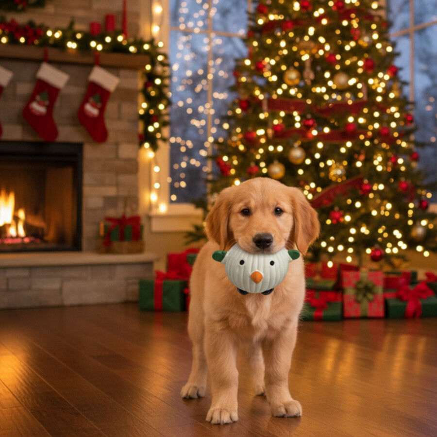 Wonder Christmas Pelota Navide&ntilde;a para perros, , large Imagen numero 3