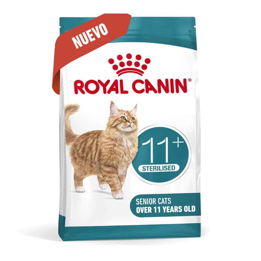 2 kg Royal Canin Ageing 11+ Sterilised pienso para gatos&nbsp;senior, , large indicador imagen numero 2