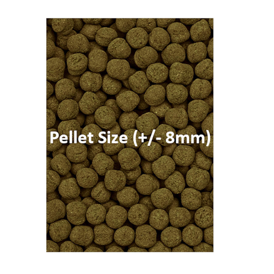 Ocean Nutrition Formula Two Marine Pellet para peces tropicales, , large Imagen numero 2