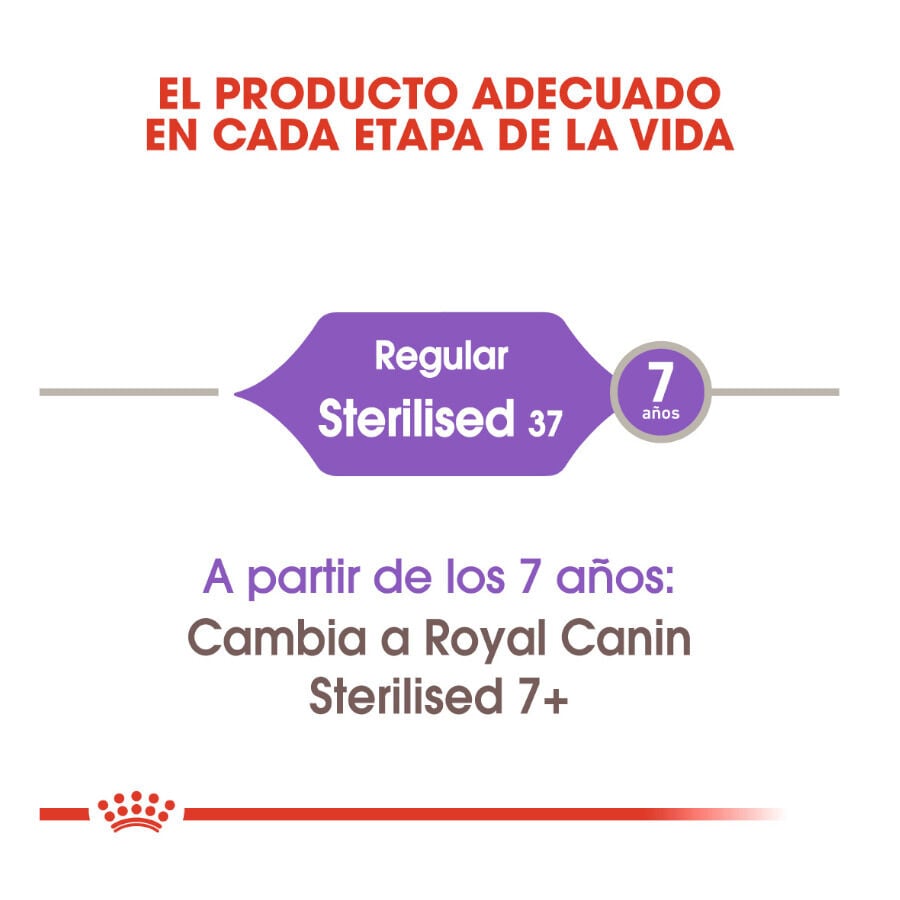 10 kg Royal Canin Regular Sterilised 37 pienso para gatos, , large Imagen numero 4