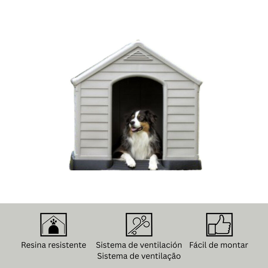 Curver Caseta para perros, , large indicador imagen numero 5