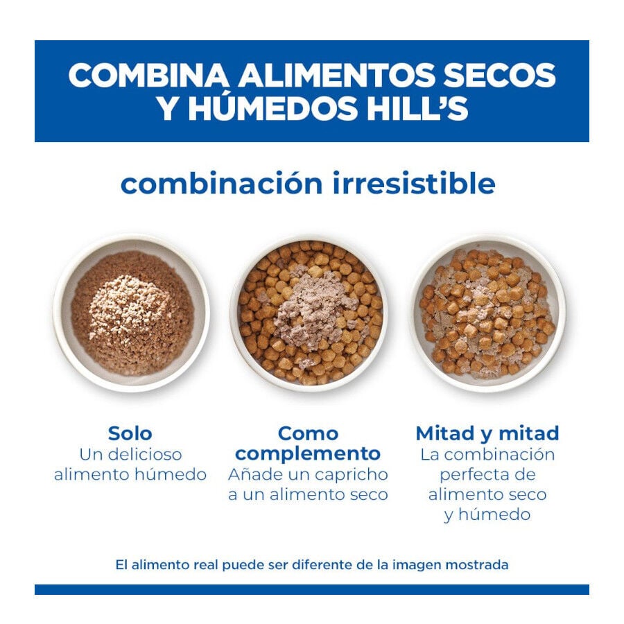363 g Hill's Science Plan Hypoallergenic Alimento H&uacute;medo con Salm&oacute;n para Perros Adultos, , large Imagen numero 6