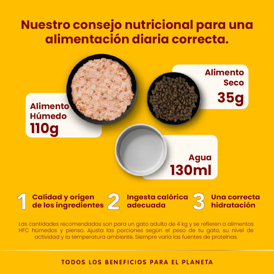 70 g Almo Nature HFC pollo y gambas lata para gatos , , large indicador imagen numero 4