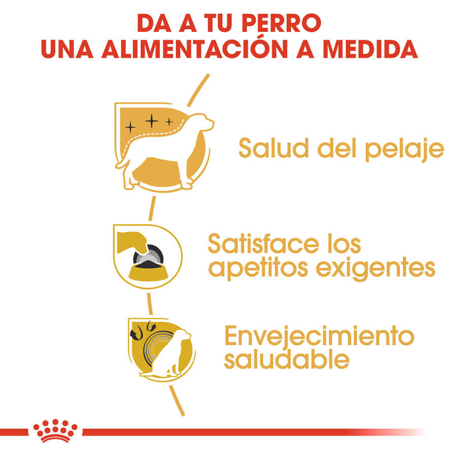 7.5 kg Royal Canin Adult Yorkshire Terrier pienso para perros, , large indicador imagen numero 5