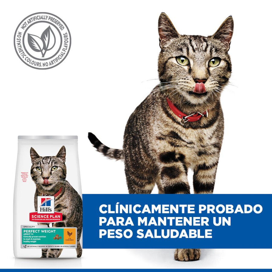 7 kg Hill's Science Plan Perfect Weight Adult pollo pienso para gatos, , large indicador imagen numero 6