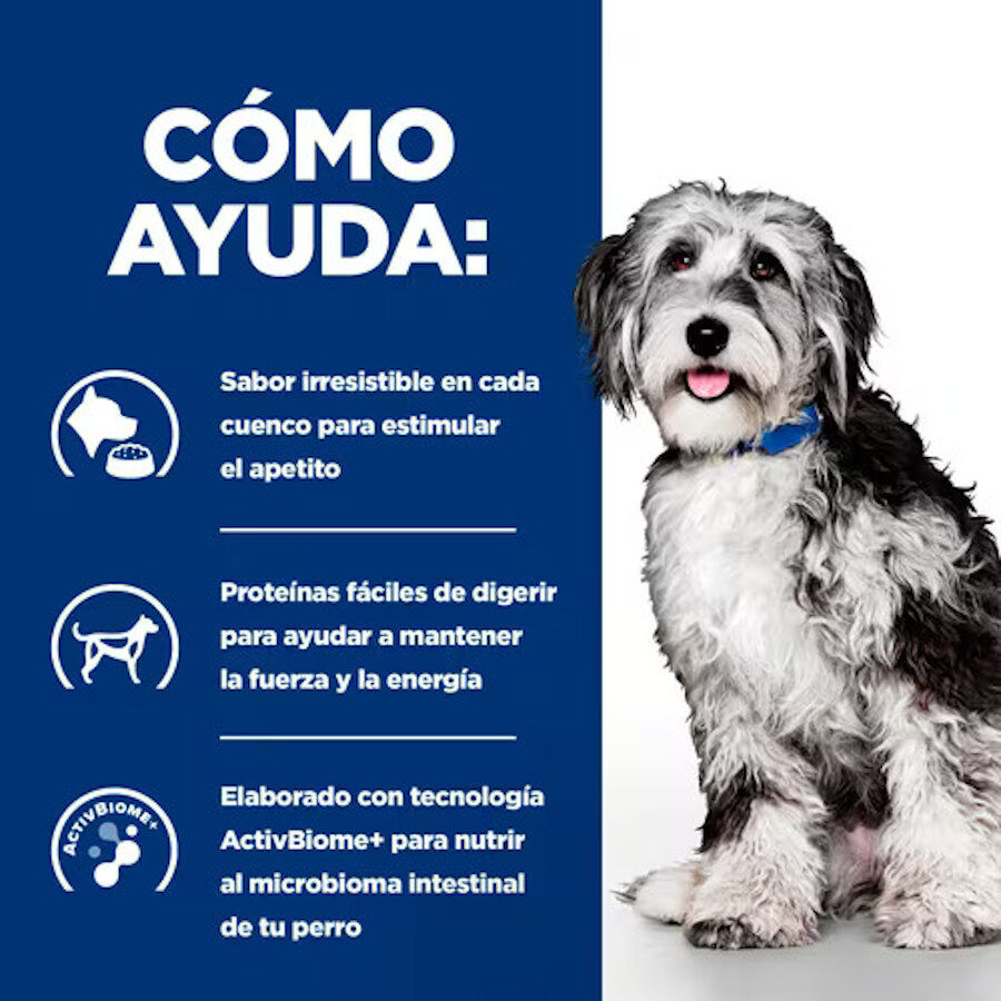 354 g Hill's Prescription Diet ON-Care Estofado de Pollo y Vegetales lata para perros, , large indicador imagen numero 3