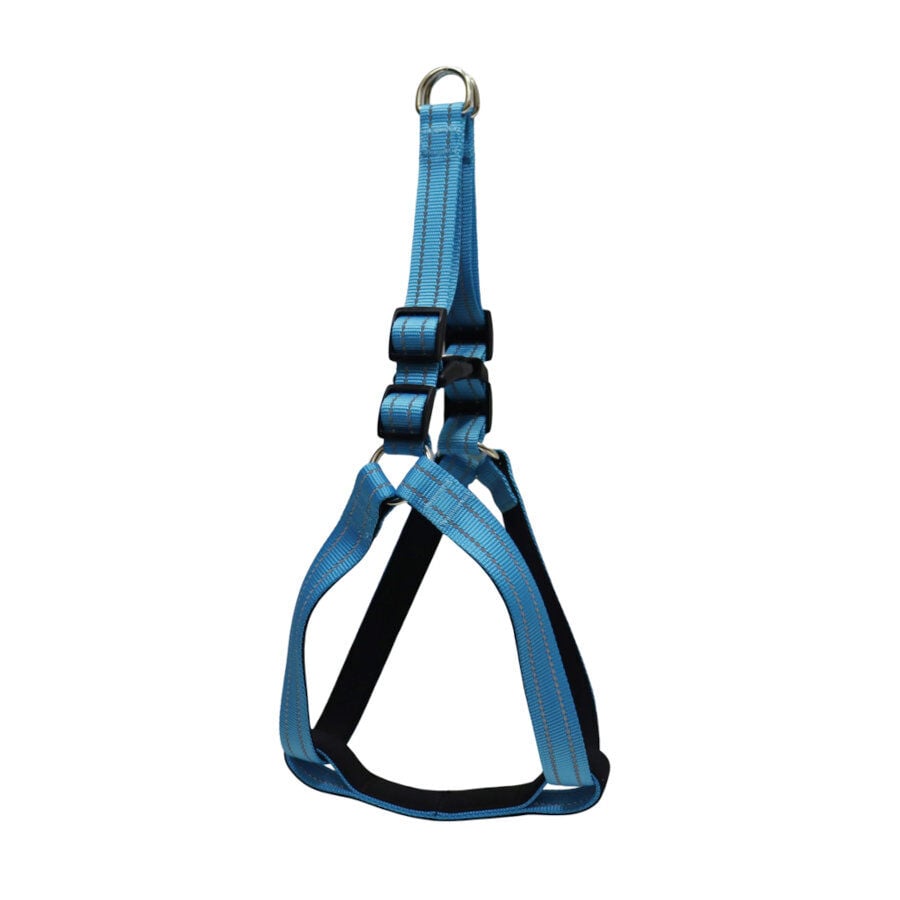 Gotoo Arn&eacute;s reflectante de neopreno azul para perros, , large indicador imagen numero 1