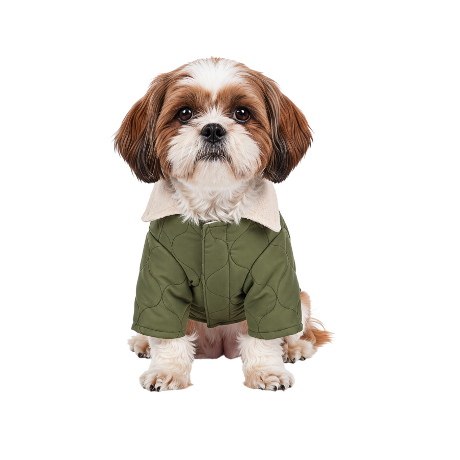 Gotoo Abrigo Acolchado Verde para perros, , large indicador imagen numero 7