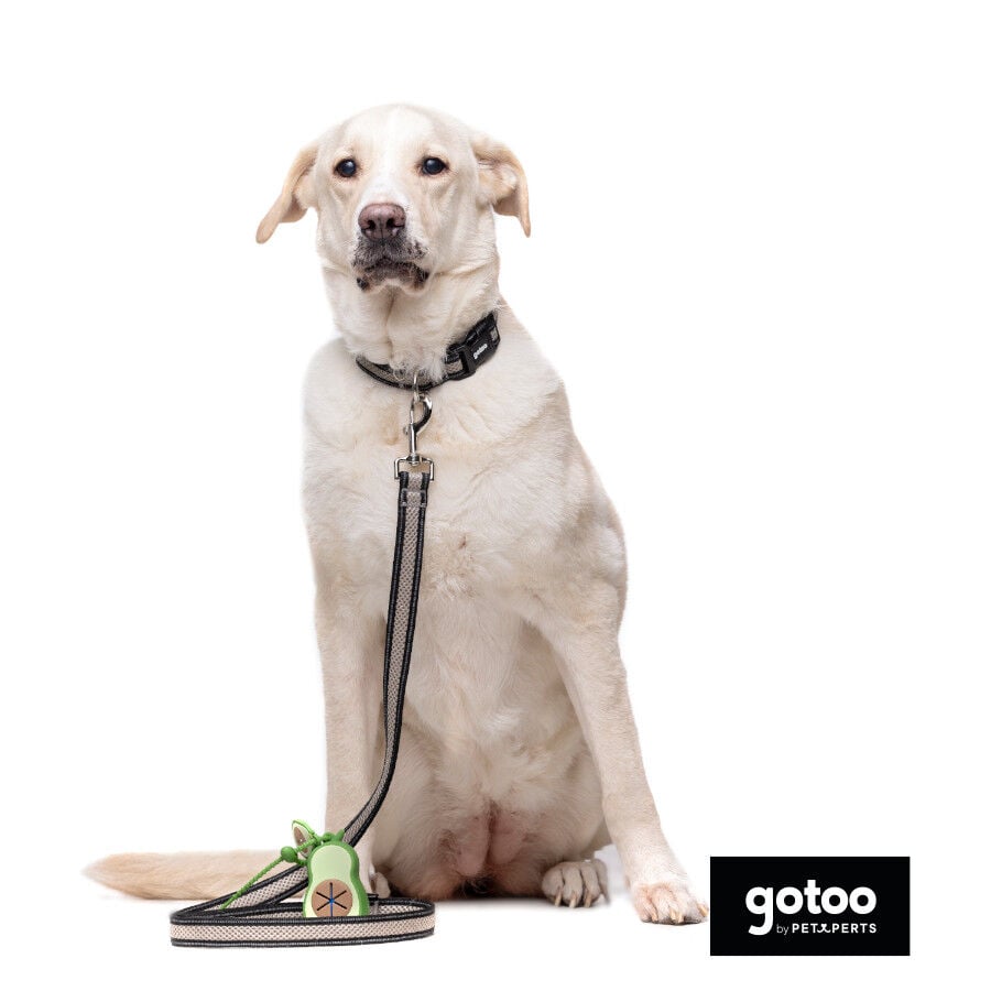 Gotoo Porta bolsas silicona avocado para perros, , large Imagen numero 6