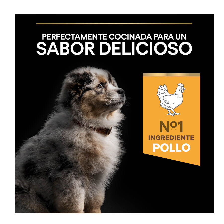 14 kg (12 + 2 kg &iexcl;gratis!) Pro Plan Puppy Medium Pollo pienso para perros, , large indicador imagen numero 7