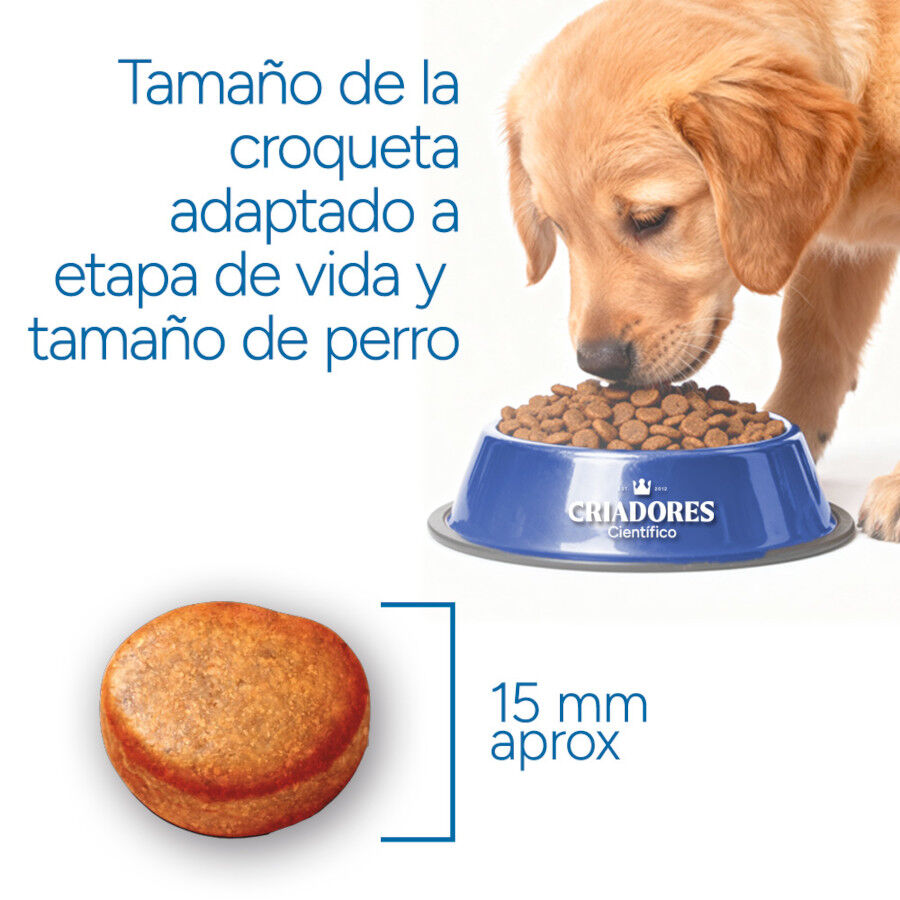 12 kg Criadores Cient&iacute;fico Adulto Maxi Pienso Pollo para perros, , large indicador imagen numero 7