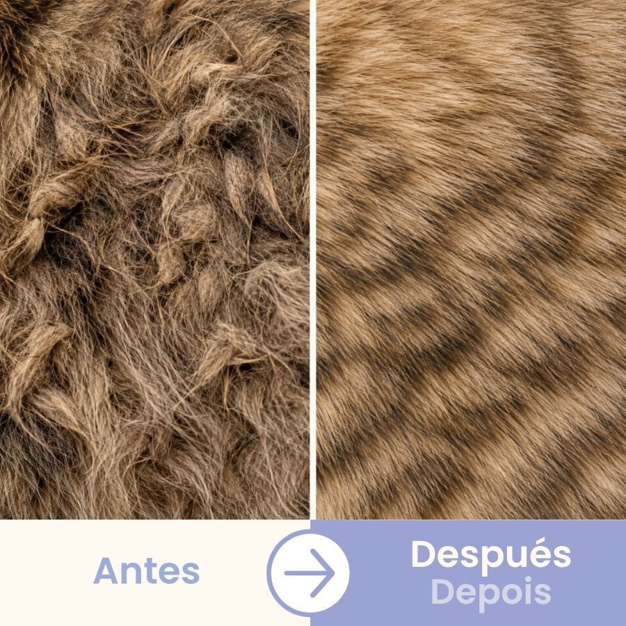Bloob Peine Antipulgas para gatos, , large Imagen numero 5