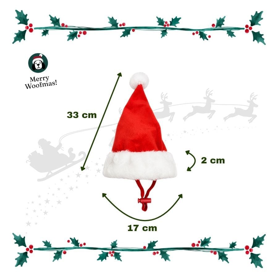 Wonder Christmas Gorro Papa Noel para perros, , large indicador imagen numero 3