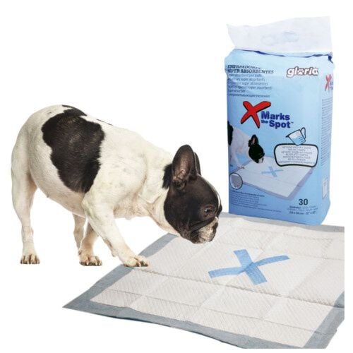 Gloria empapador s&uacute;per absorbente para perros Imagen numero 1