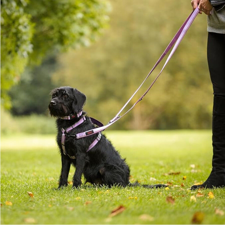 Halti arn&eacute;s de nylon ajustable morado para perros, , large indicador imagen numero 3