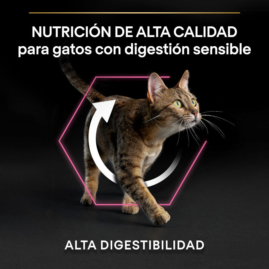 1.5 kg Pro Plan Adult Delicate Digestion Adult pavo pienso para gatos, , large Imagen numero 6