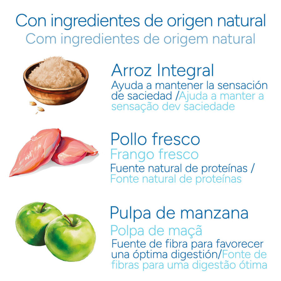 12 kg Criadores Cient&iacute;fico Adulto Medium Pienso Pollo para perros, , large indicador imagen numero 5