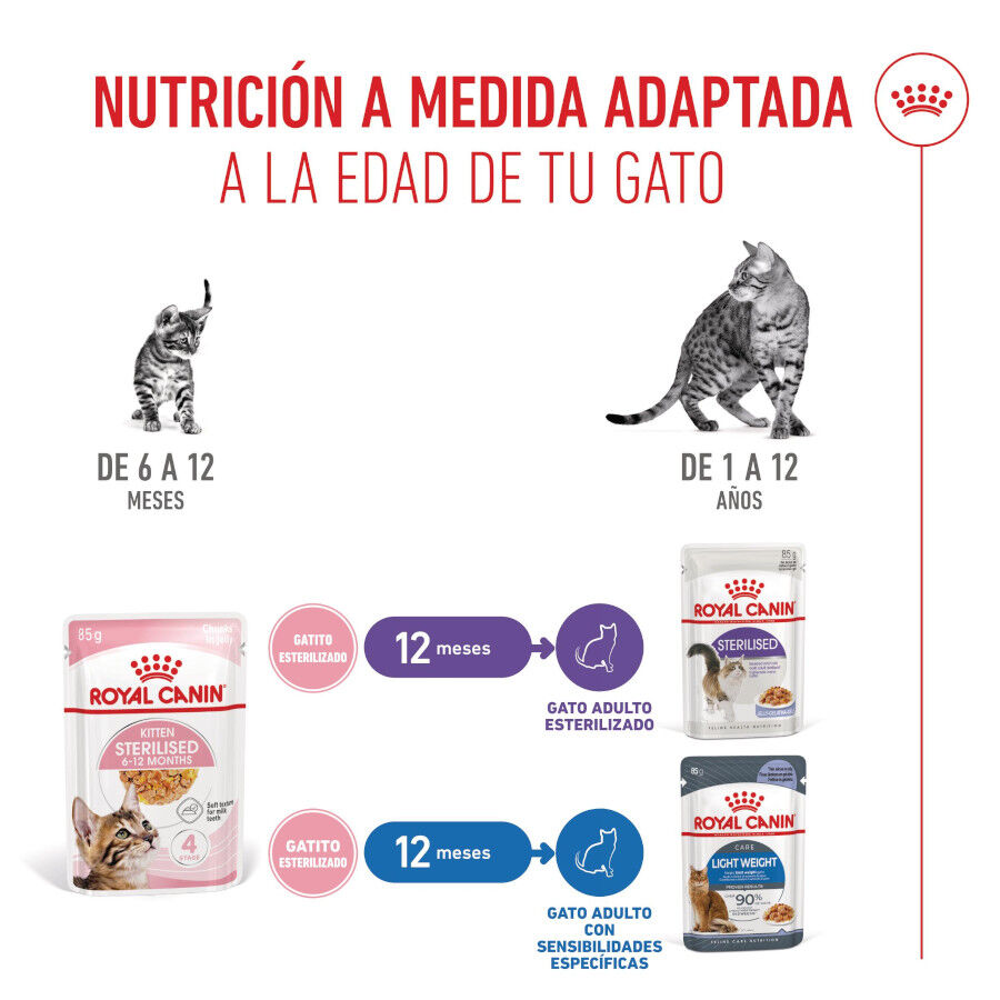 85 g Royal Canin Kitten Sterilised gelatina para gatos, , large indicador imagen numero 6